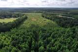 81.67 Acres - Twin Church Rd - Photo 9