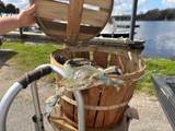 309 Chaff Ct. - Photo 15