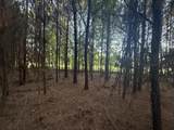 359 Cedar Grove Church Rd - Photo 8