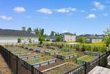 1049 Tibetan St. - Photo 44