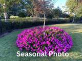 272 Savannah Dr. - Photo 47