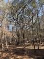  Bryants Landing Rd. - Photo 2