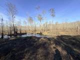  Bryants Landing Rd. - Photo 4