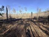  Bryants Landing Rd. - Photo 6