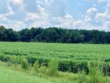 TBD Highway 501 - Photo 20