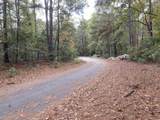 TBD 1 Pine Needle Circle - Photo 3