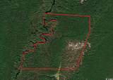 TBD Pee Dee Church Rd. - Photo 1