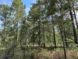 TBD Pee Dee Church Rd. - Photo 9