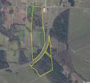 903 Horse Pen Bay Ct. - Photo 1