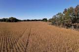 Off Highway 9 - Photo 4