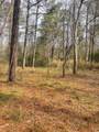 TBD Pee Dee Hwy. - Photo 4