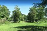 TBD H C Lewis Ln. - Photo 6