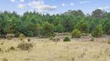 LOT 8 Creek Landing Rd - Photo 13