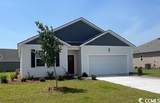 202 Carver Willow Dr. - Photo 1