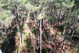 34 Acres - TBD Easler Hwy - Photo 10