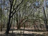 34 Acres - TBD Easler Hwy - Photo 12