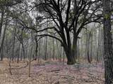 34 Acres - TBD Easler Hwy - Photo 2
