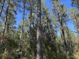 34 Acres - TBD Easler Hwy - Photo 3