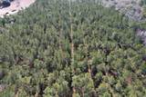 34 Acres - TBD Easler Hwy - Photo 4