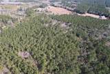 34 Acres - TBD Easler Hwy - Photo 7