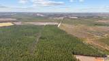 TBD Joyner Swamp Rd. - Photo 10
