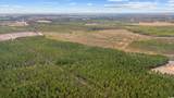 TBD Joyner Swamp Rd. - Photo 8