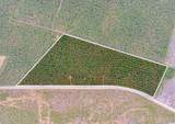 TBD Joyner Swamp Rd. - Photo 18