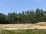 2919 Hughes Gasque Rd. - Photo 2