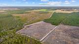 5620 Joyner Swamp Rd. - Photo 10