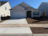 1500 Wood Stork Dr. - Photo 1