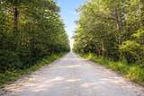 TBD Wolf Pit Bay Rd. - Photo 1