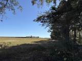 52 Acres-TBD Vox Hwy. - Photo 11