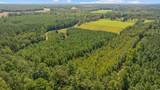LOT 4 Womack Rd. - Photo 14