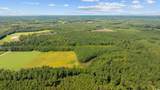 LOT 4 Womack Rd. - Photo 9