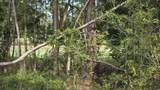 1008 Maccoa Dr. - Photo 5