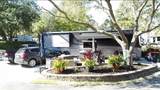 43 Jenkins Island Rd - Photo 12