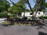 43 Jenkins Island Rd - Photo 5