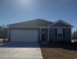 1029 St. Martin St. - Photo 1