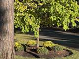 415 Ocean Creek Dr. - Photo 15