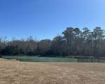905 Birch Garden Dr. - Photo 2