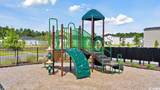 1244 Blueback Herring Way - Photo 24