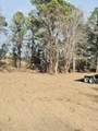 4340 Highway 76 - Photo 4