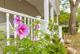 517 Porter Dr. - Photo 9