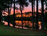 818 Foxtail Dr. - Photo 33