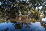 117 Finch Dr. - Photo 48