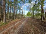 11091 Highway 707 - Photo 9