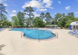 424 Black Cherry Way - Photo 4