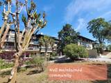6813 Porcher Dr. - Photo 41