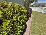 293 Southern Breezes Circle - Photo 43