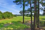 5040 Windsor Green Way - Photo 6
